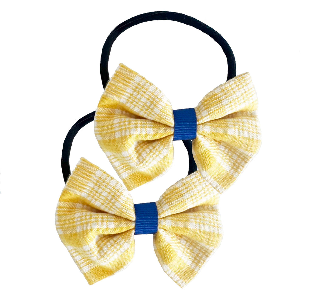 Summer 2 pack Hairbands