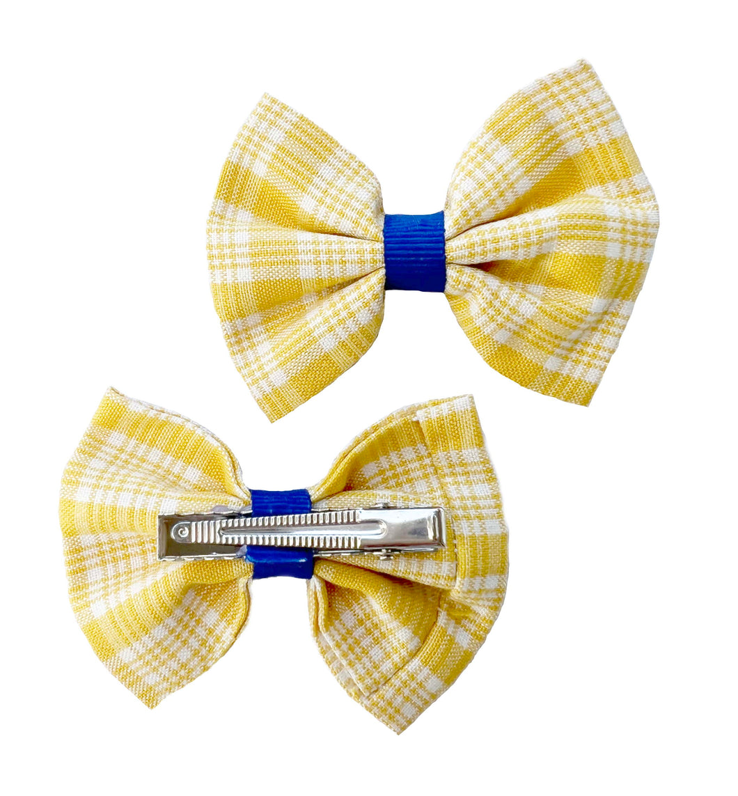 Summer 2 pack Hairclips